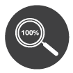inspection icon